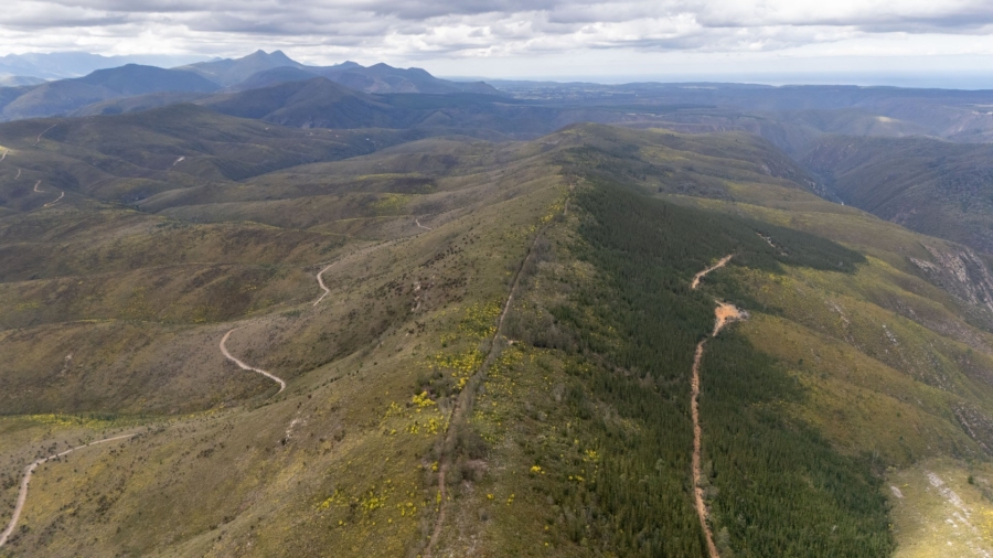 Commercial Property for Sale in Plettenberg Bay Rural Western Cape